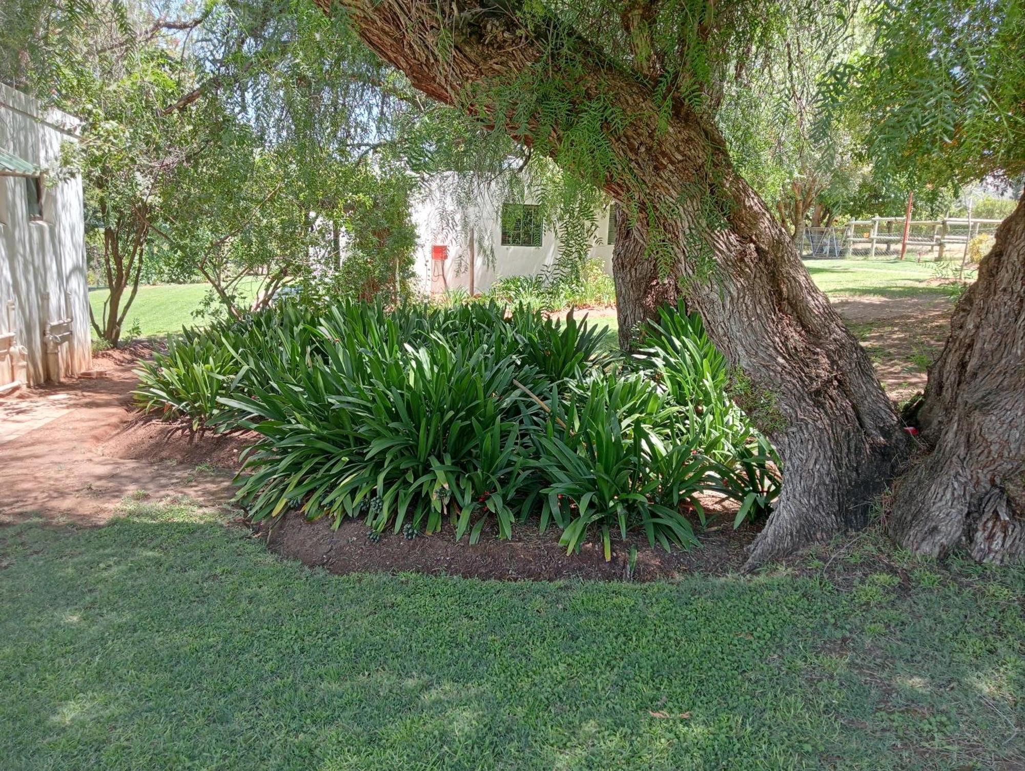 Kranskloof Country Lodge Oudtshoorn Dış mekan fotoğraf