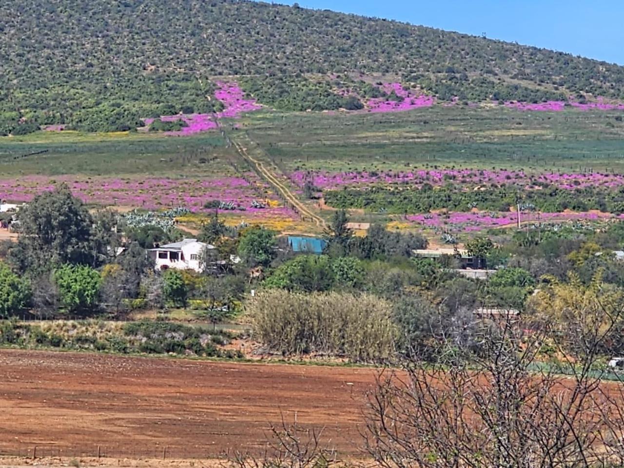 Kranskloof Country Lodge Oudtshoorn Dış mekan fotoğraf